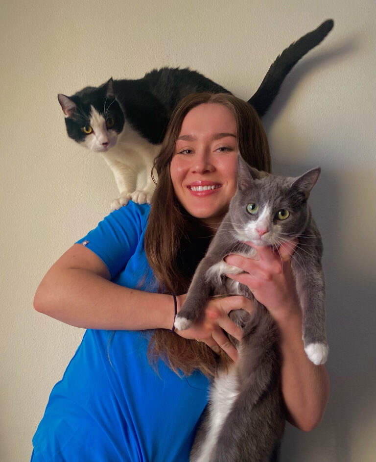 Meet The Team Slater Animal Hospital